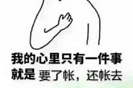 萨尔图企业清欠服务